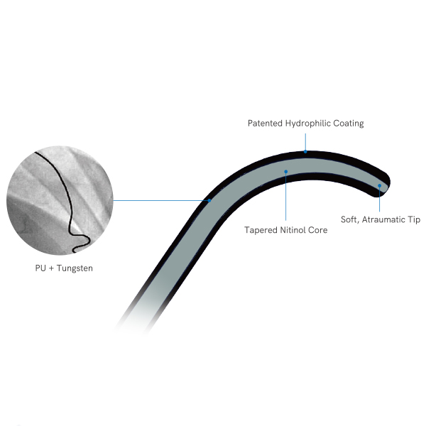 گایدوایر آنژیوپلاستی شرکت نگین تجارت کاوه - Image 2