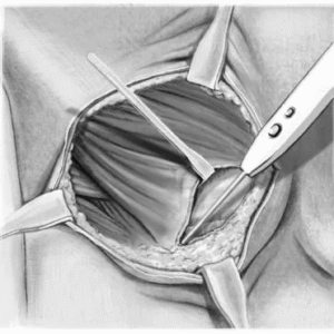اسلولار درمال ماتریکس شرکت مادزیست فن آور بین الملل