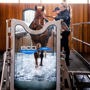 تردمیل آبی دامپزشکی ( دام بزرگ ) شرکت نگین همای رحمت ایرانیان