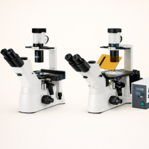 میکروسکوپ اینورت فلورسانس XD Series